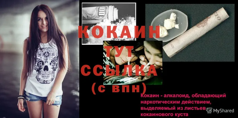 где найти   Зеленогорск  Cocaine VHQ 